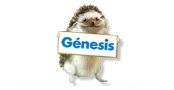 logo de Genesis seguros